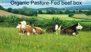 Square farm Organic Pasture fed Beef - Beef Box 7KG - save 10%